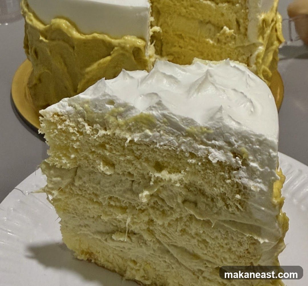 Layered Cake Slice