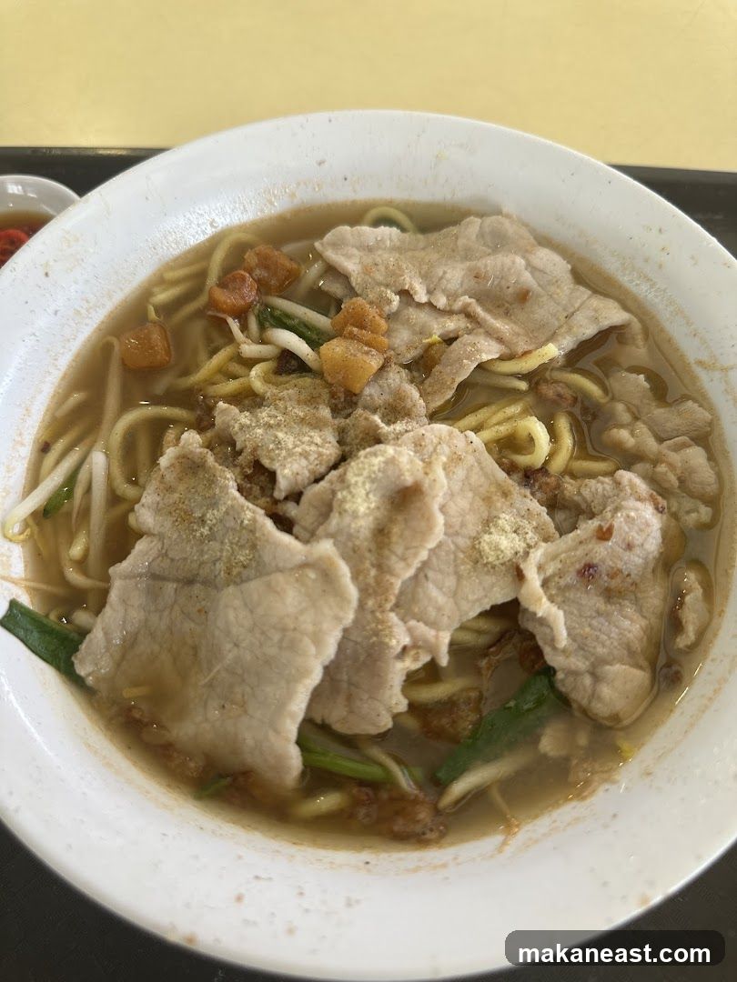 Pork Noodles