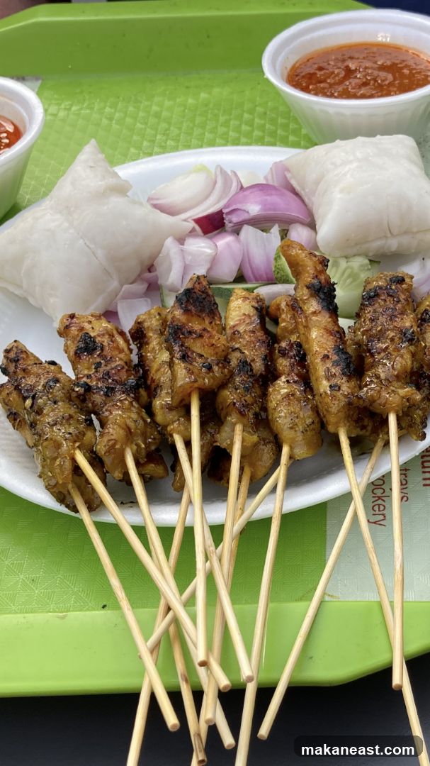 Chicken Satay with Rice Cakes and Peanut Sauce