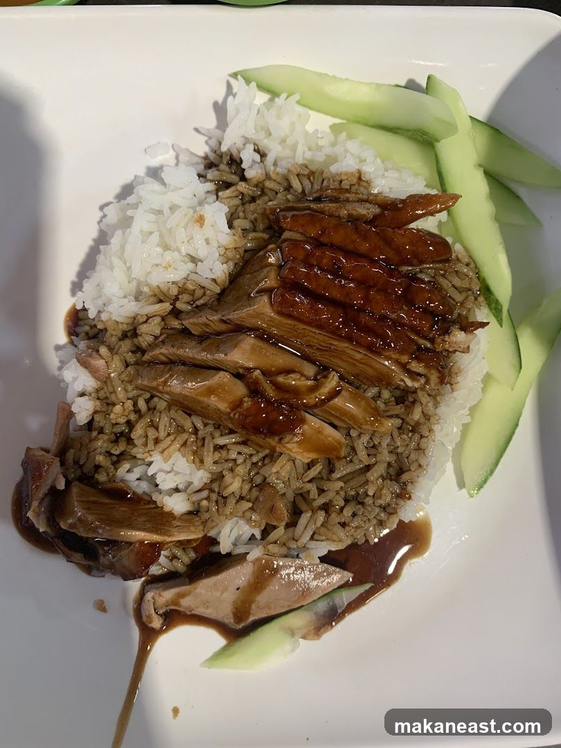 Roast Duck Rice