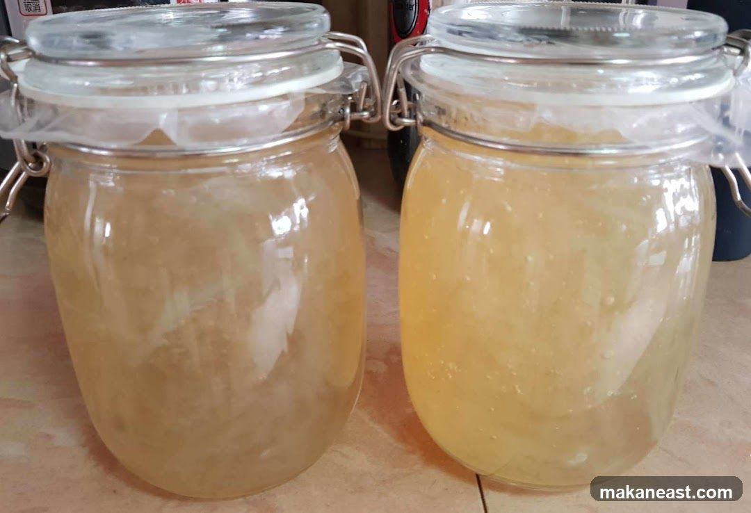 Two Jars of Fermented Drink