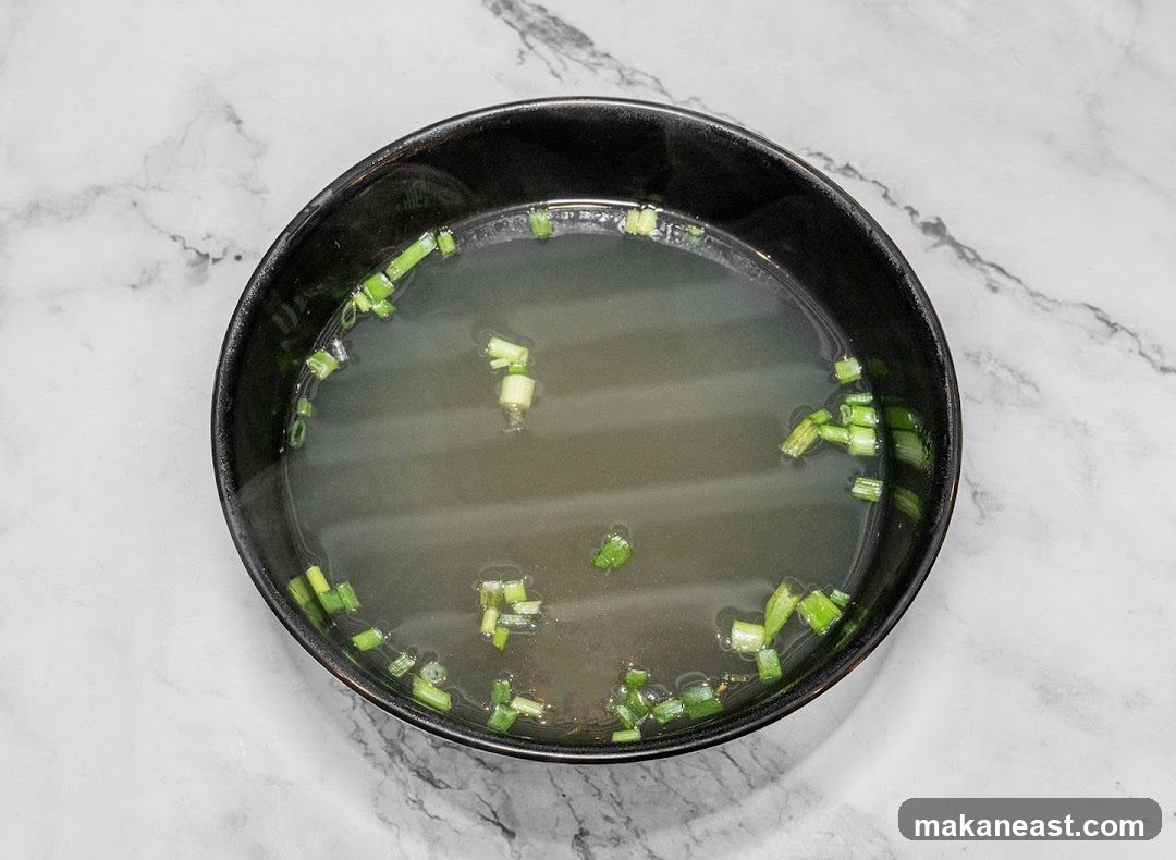 Bowl of Broth with Scallions