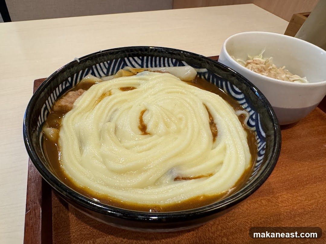 Curry Udon with Side Salad