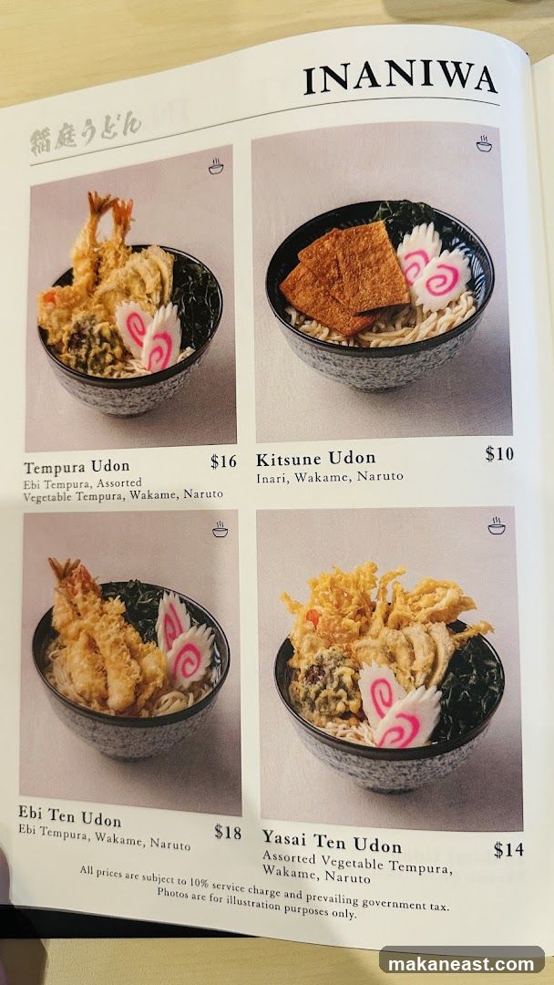 INANIWA UDON