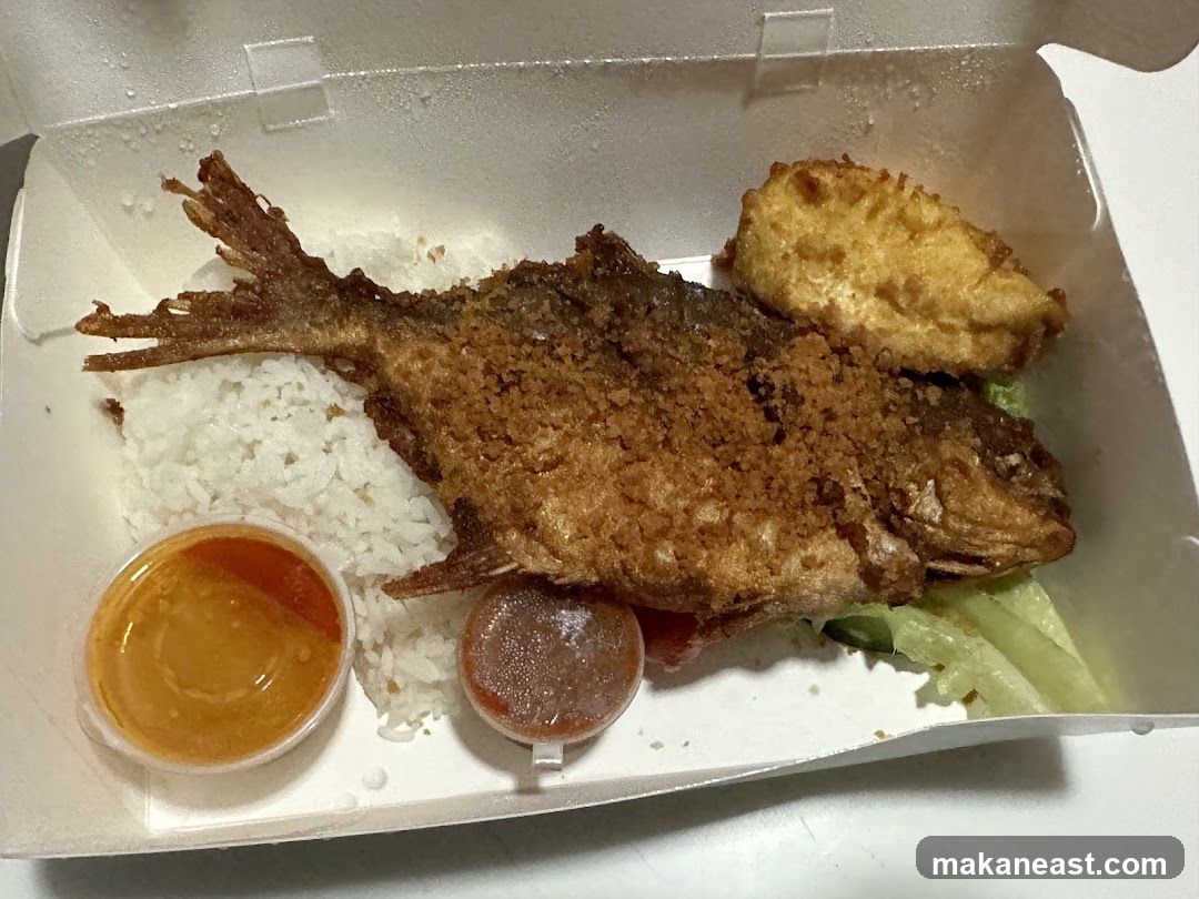 Fried Fish with Rice