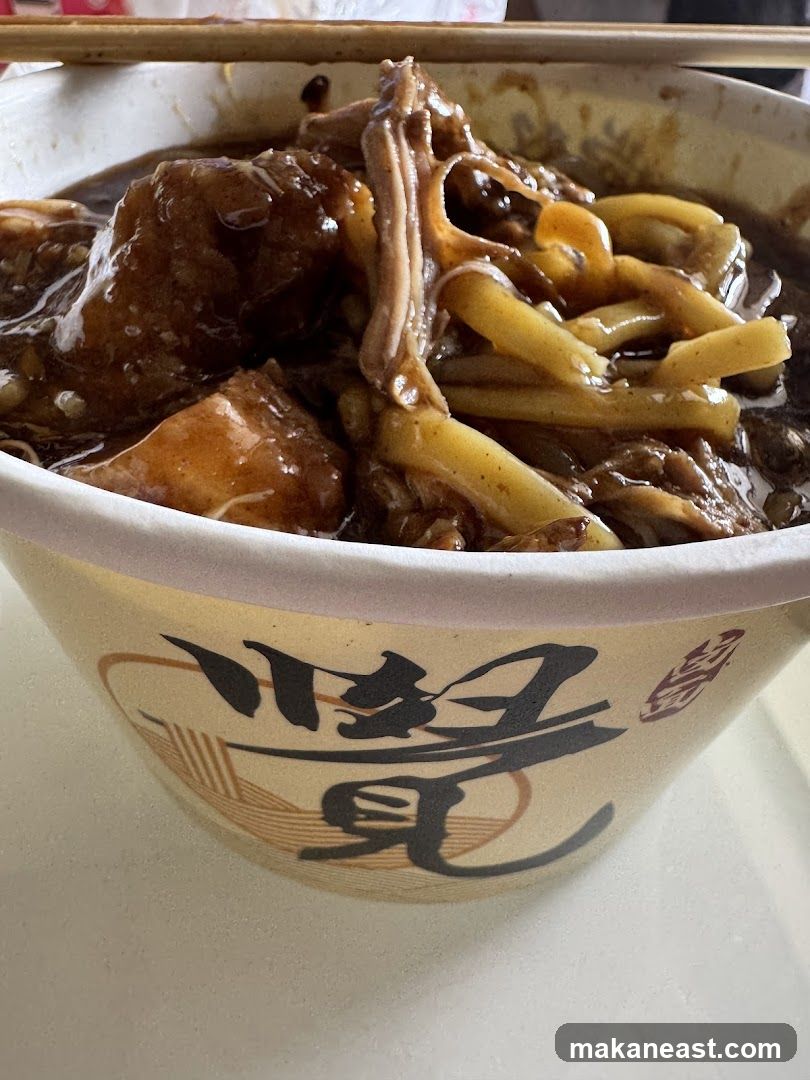 Bowl of Braised Meat and Noodles