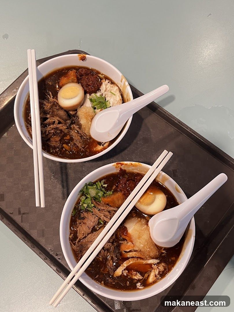 Two bowls of braised meat noodles