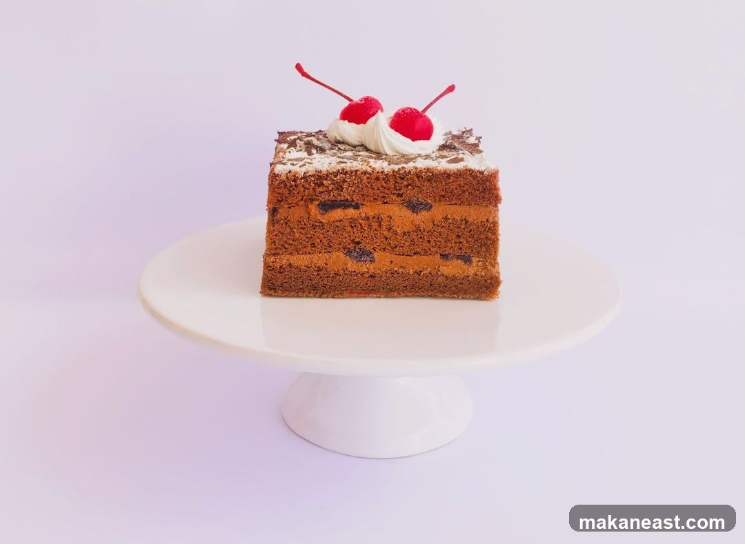 Chocolate Cake Slice
