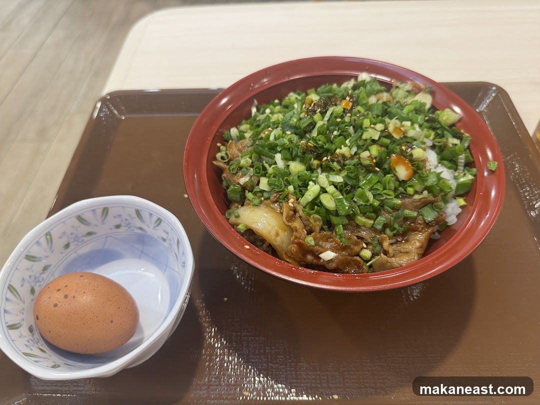 Beef bowl with egg
