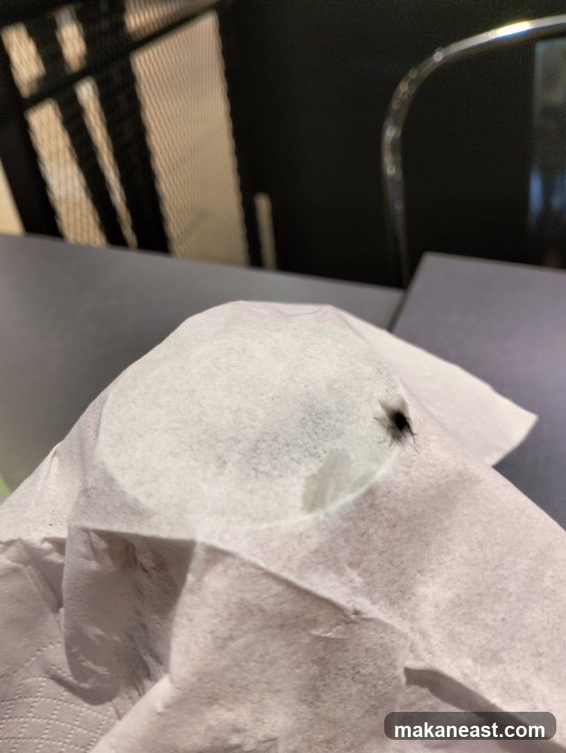 Fly on tissue