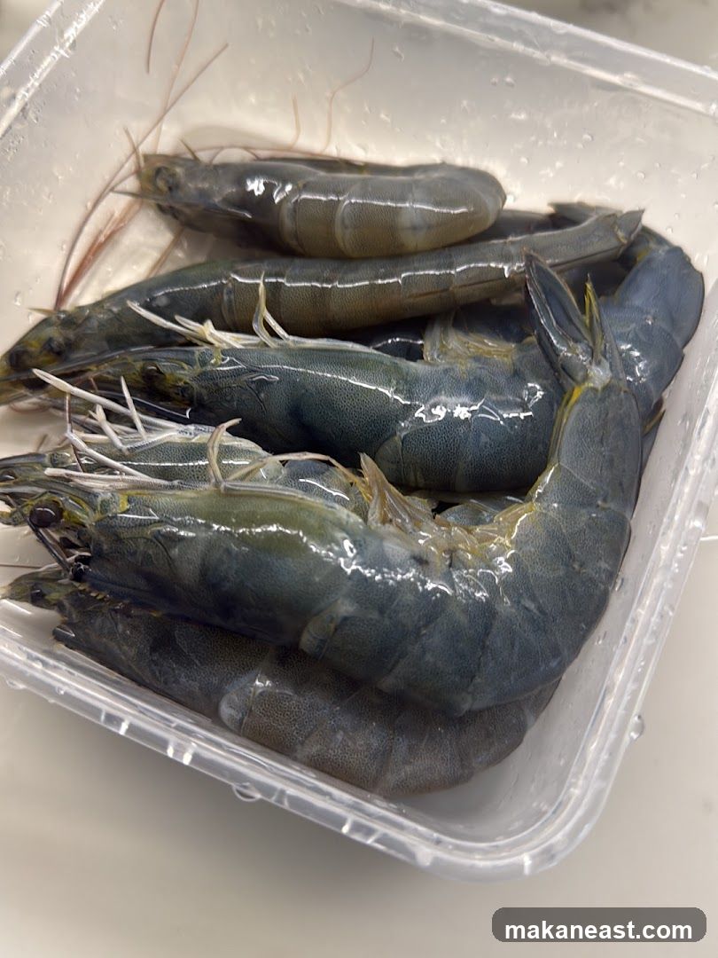 Fresh Shrimp