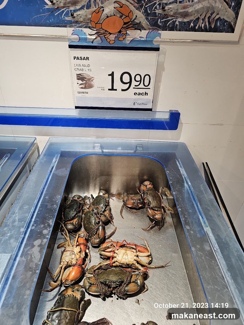 Live Mud Crabs