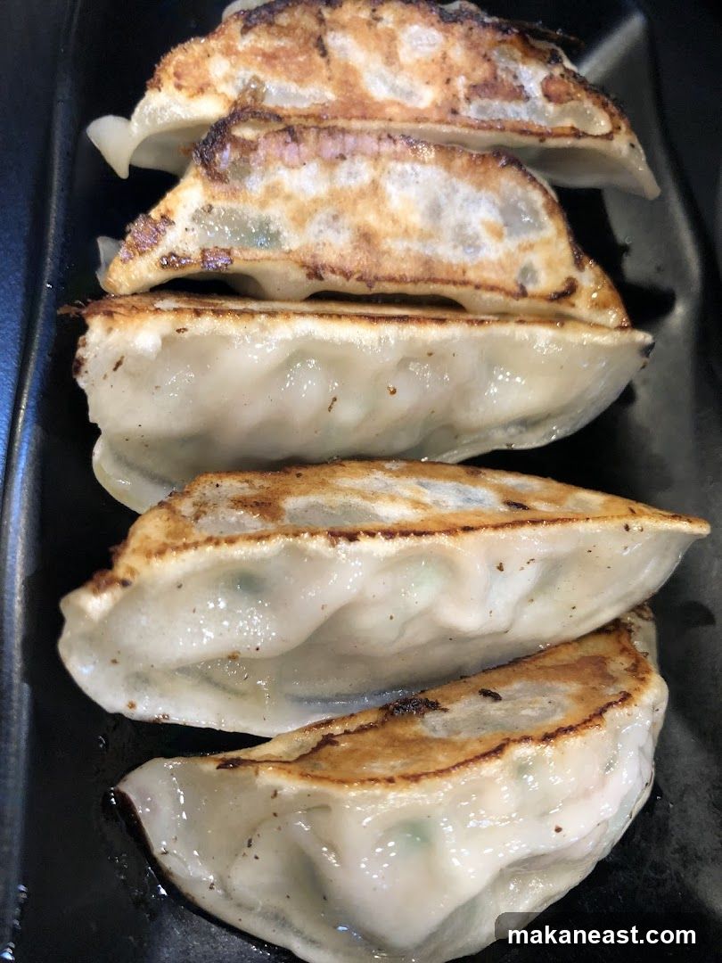 Pan-fried dumplings
