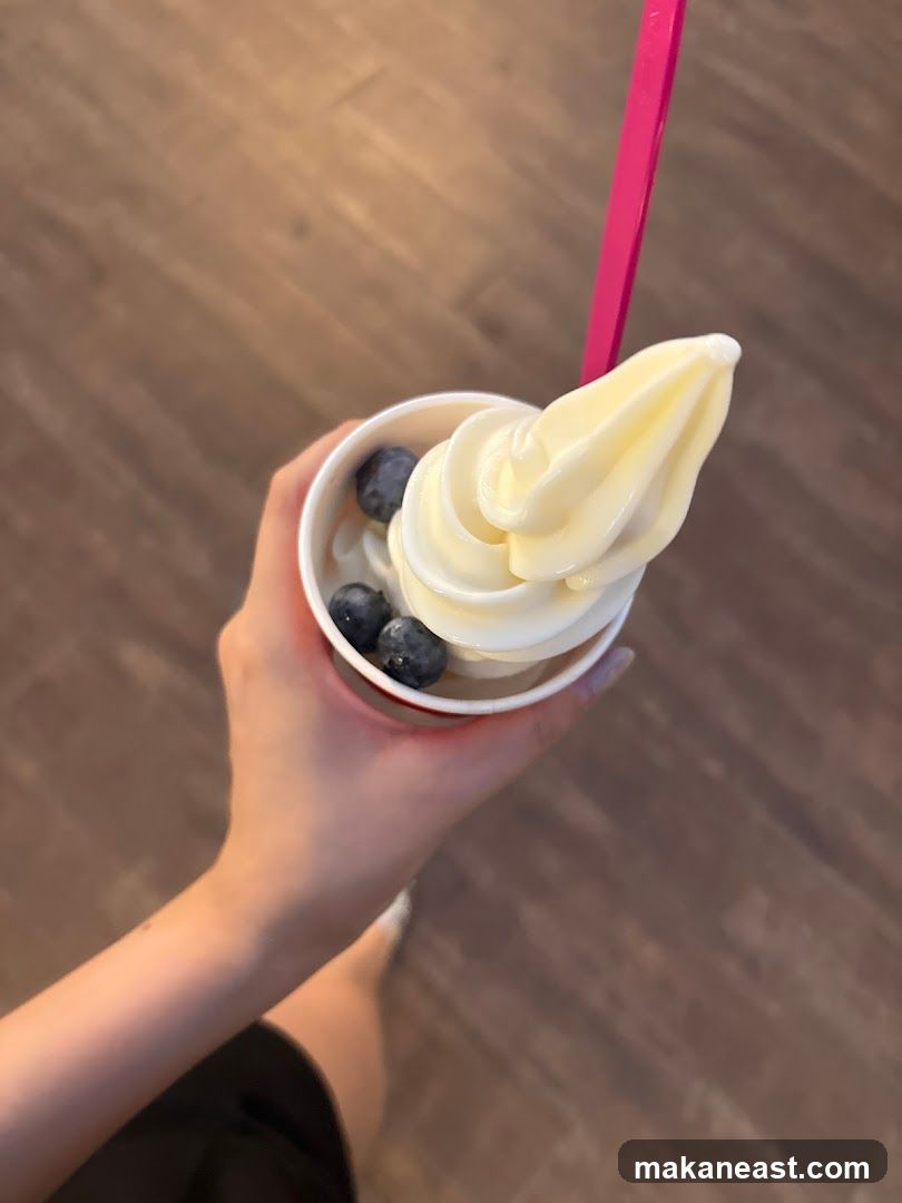 Frozen Yogurt with Blueberries