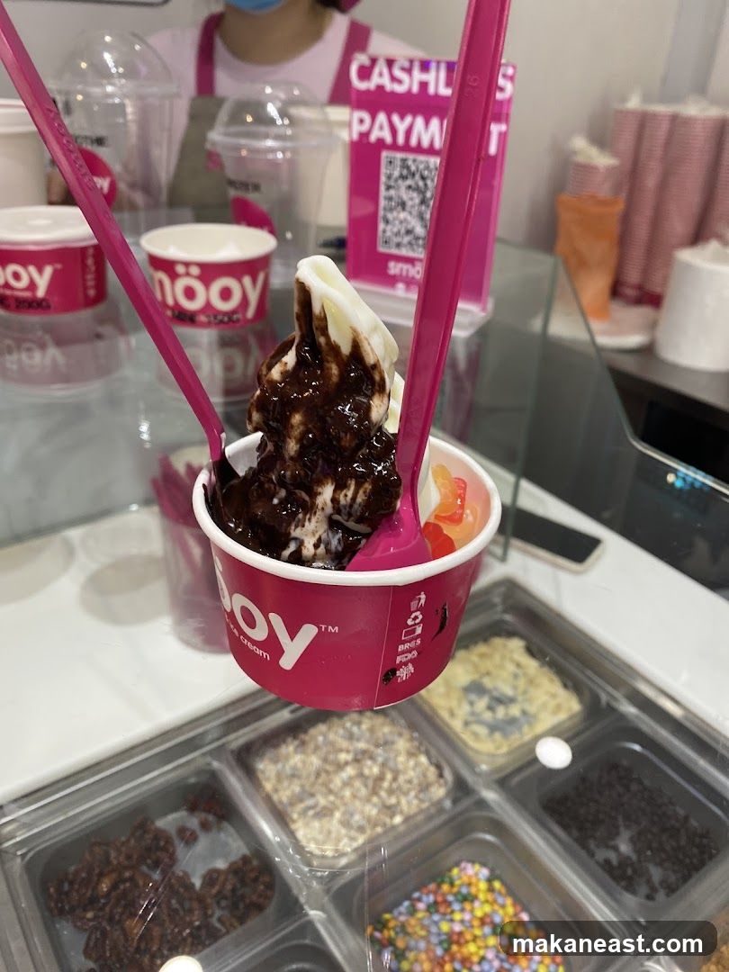 Frozen Yogurt with Chocolate Sauce