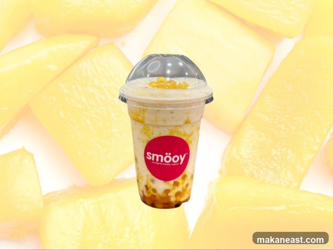 Smöoy Frozen Yogurt