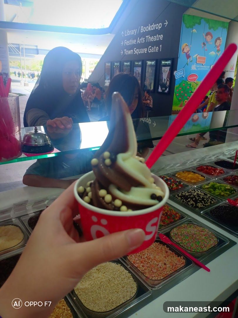 Frozen Yogurt Toppings