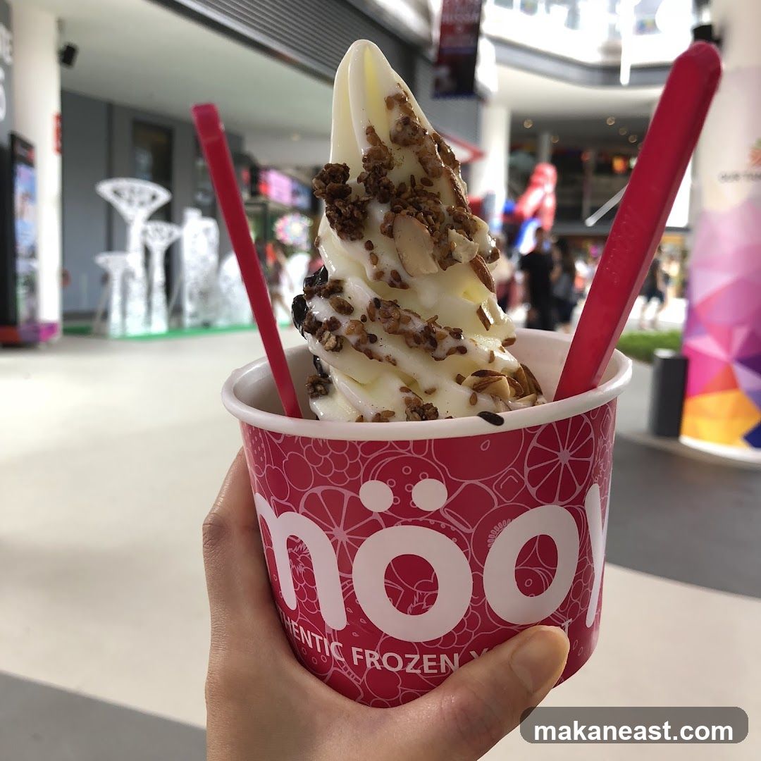 Frozen Yogurt with Toppings