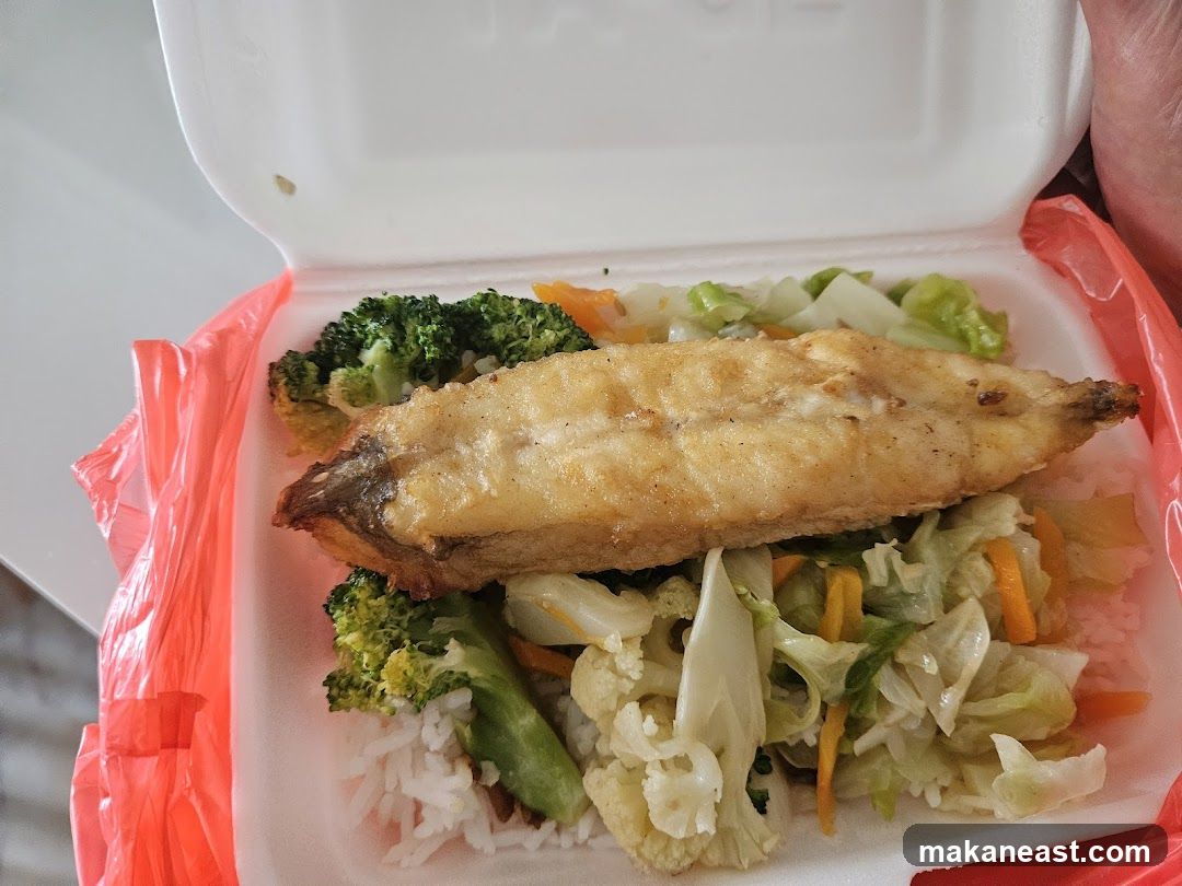 Fish and Rice Meal