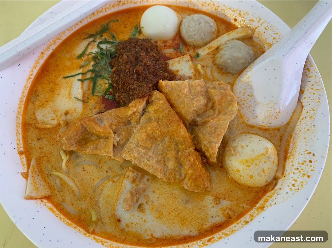 Laksa with Fish Balls and Tofu Puffs