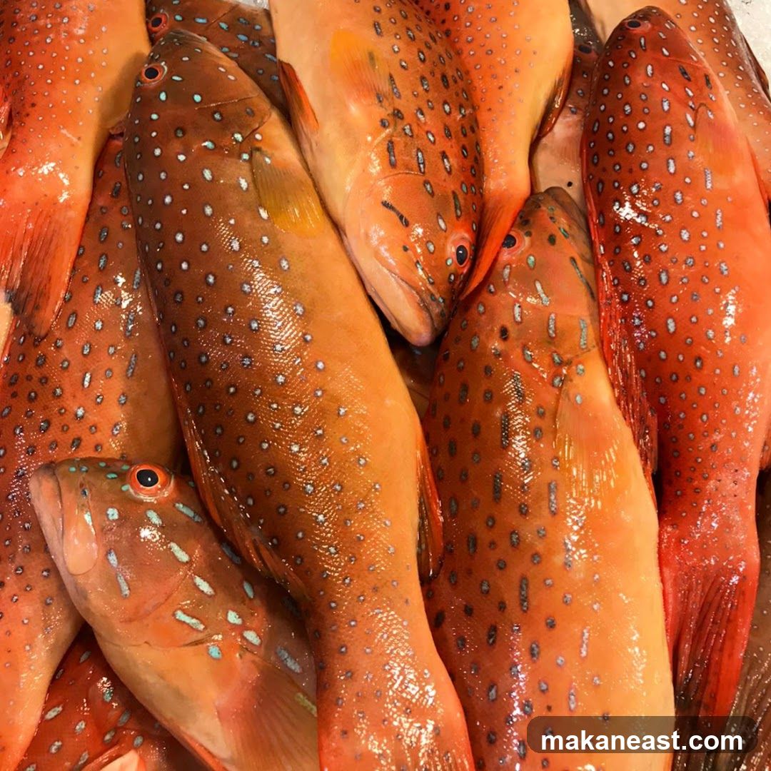 Fresh Seafood #01-131/132