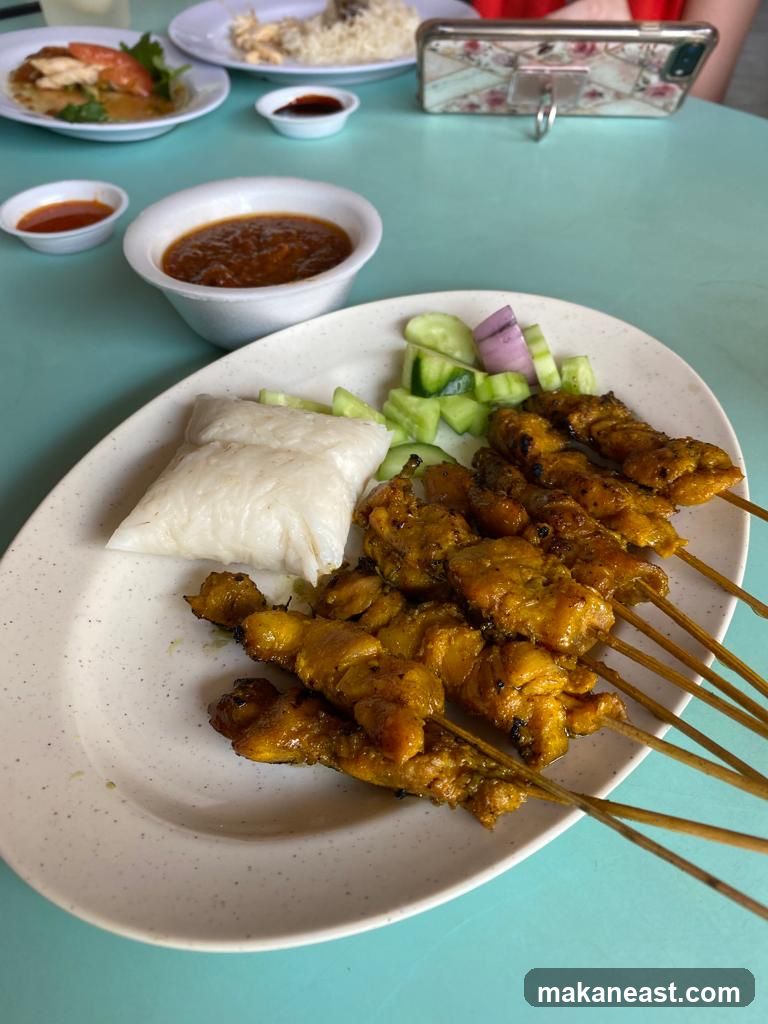 Chicken Satay with Rice and Peanut Sauce