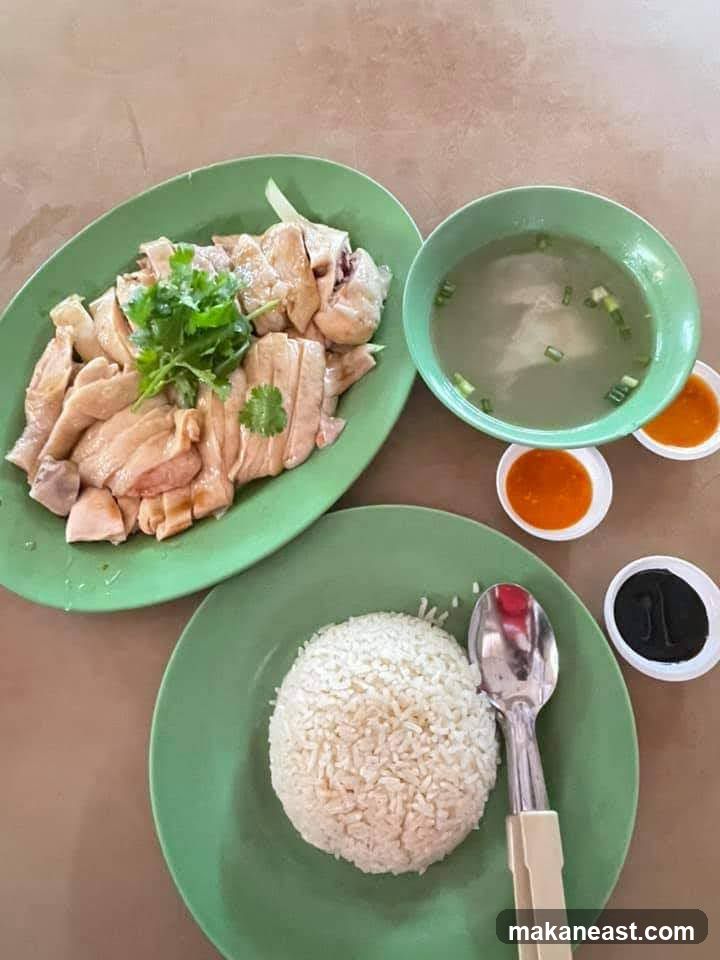 Thiam Kee Hainanese Chicken Rice • Noodles