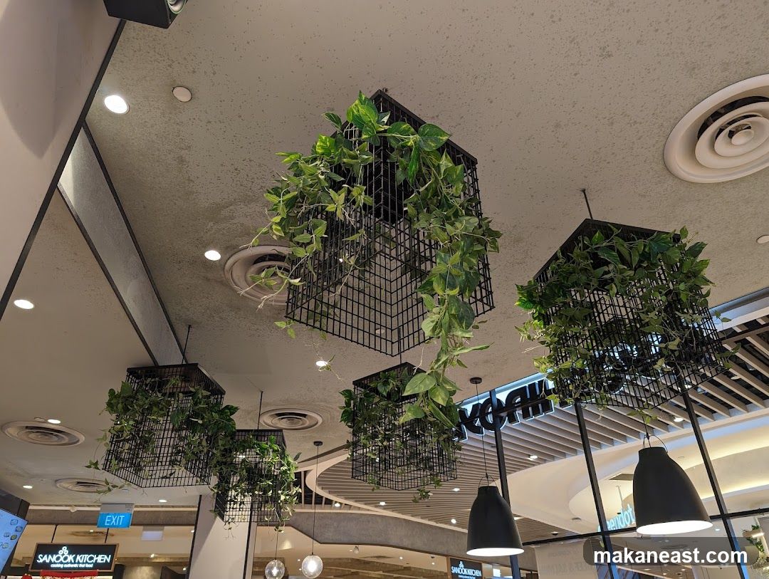 Hanging Plants and Lights