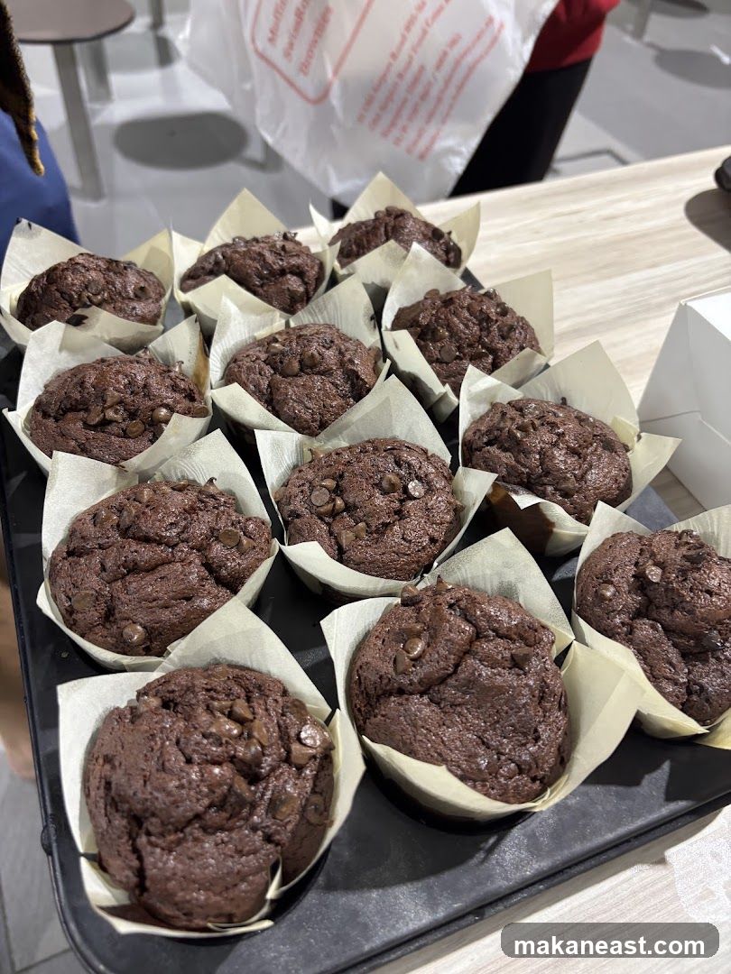 Chocolate Muffins