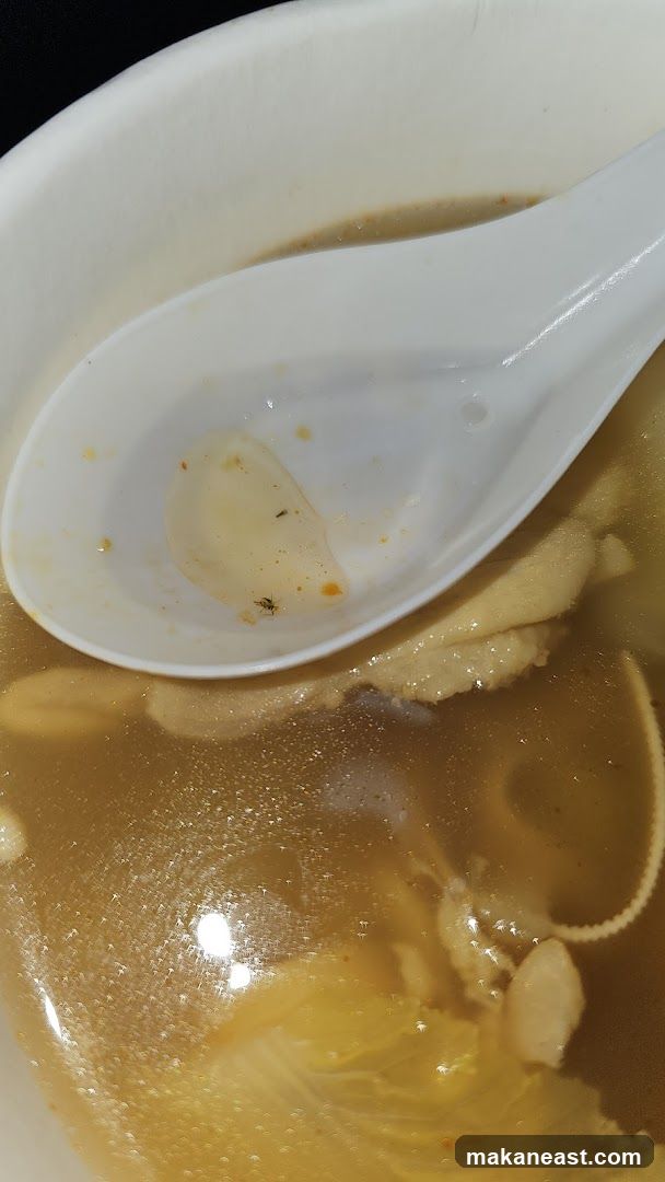 Soup with Insects