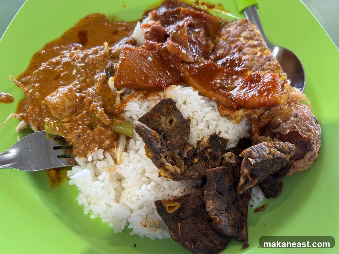 Rice with Curry and Fried Meat