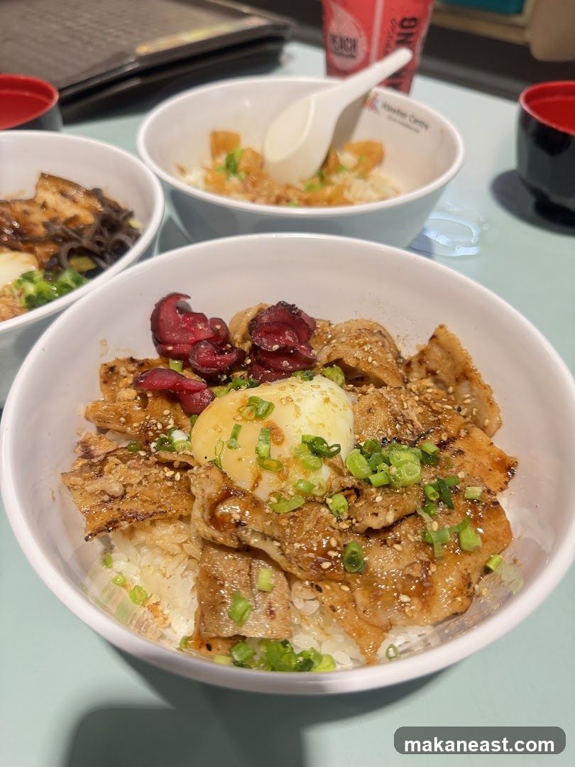 Donburi Bowls
