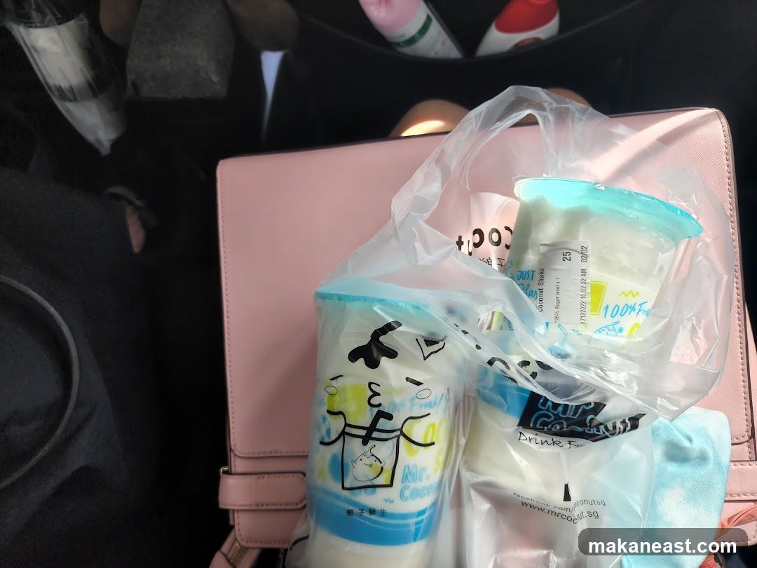 Coconut Shakes