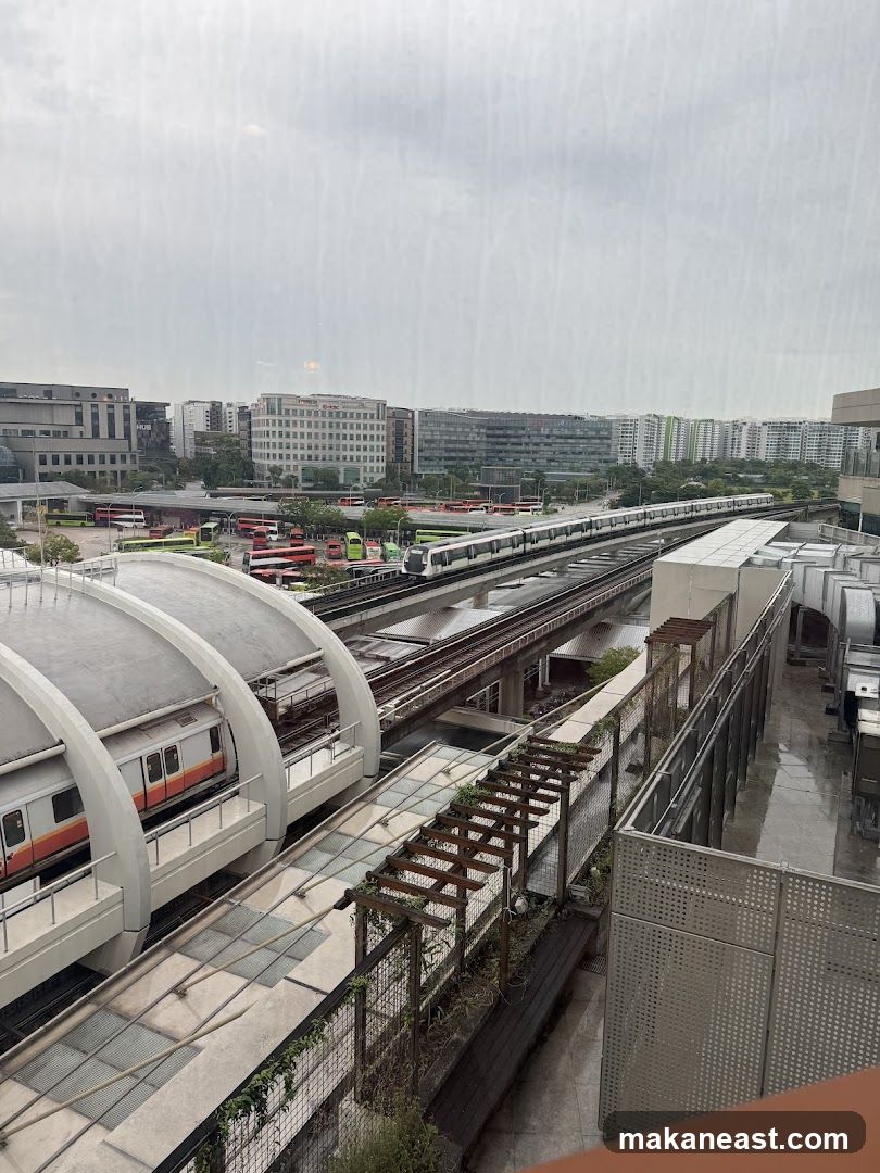 Train Station and Cityscape