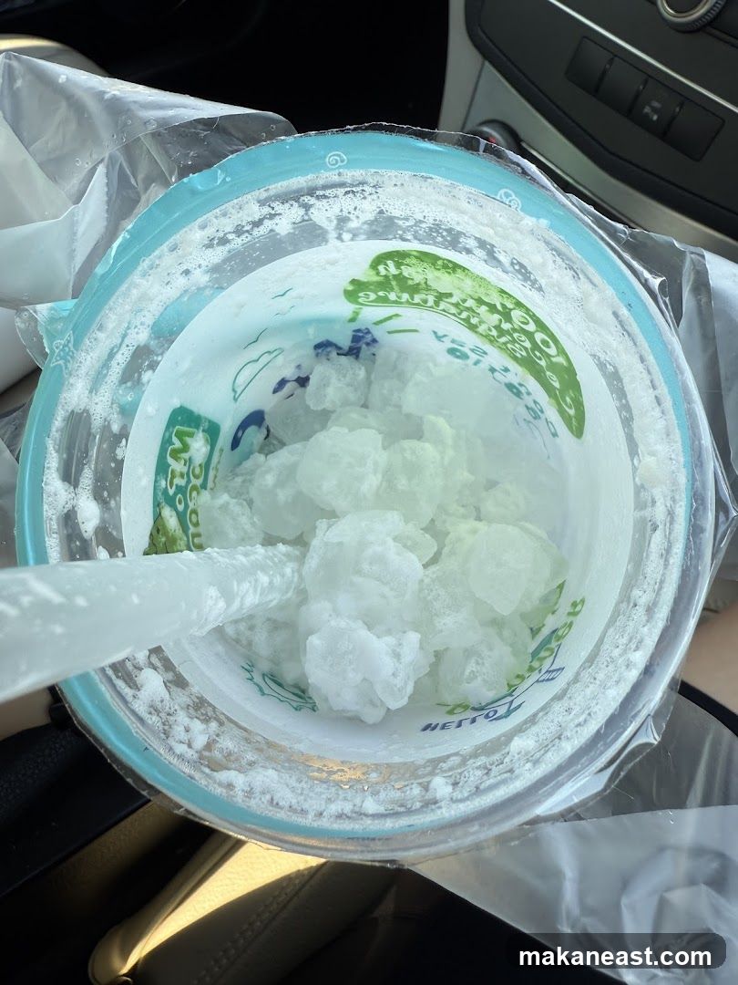 Iced Drink in a Cup