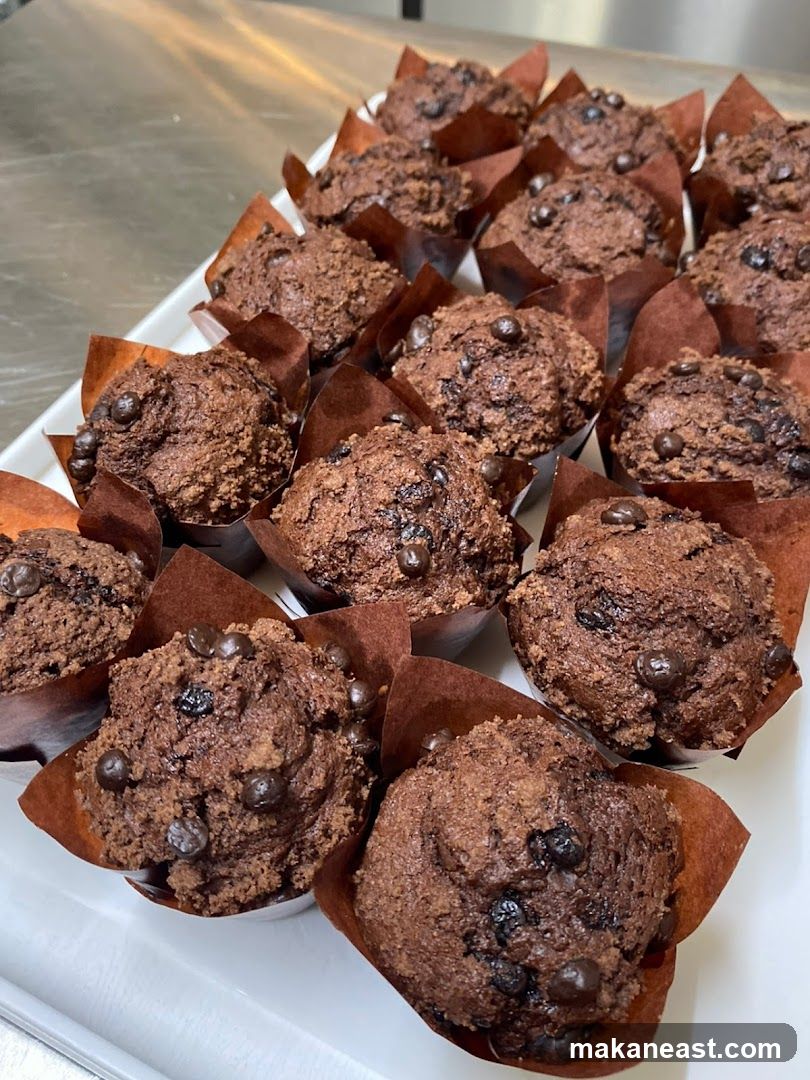 Chocolate Chip Muffins