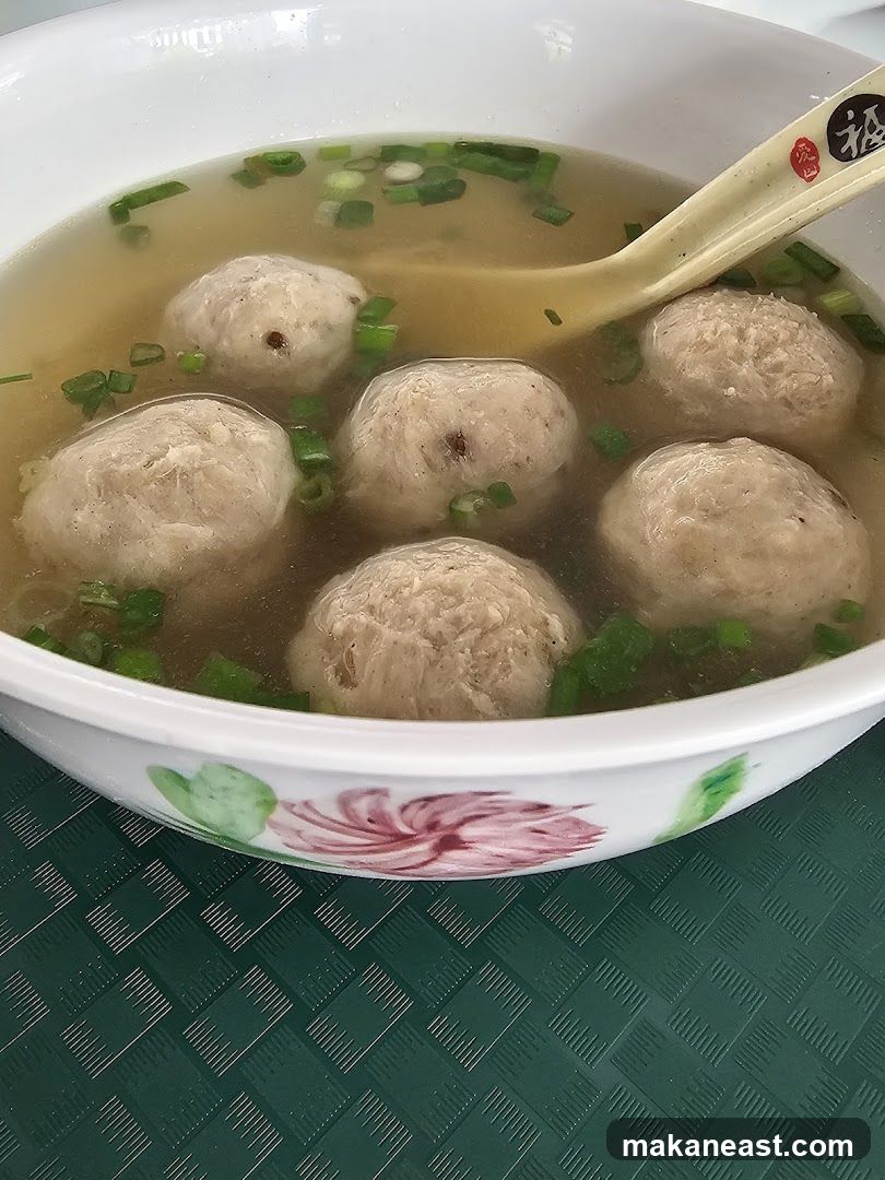 Meatball Soup