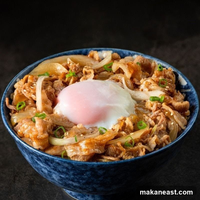 Beef and Onion Rice Bowl with Poached Egg