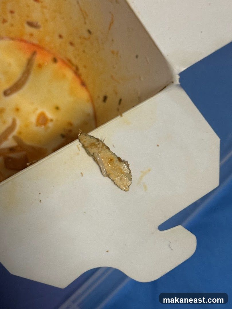 Food in a Takeout Container