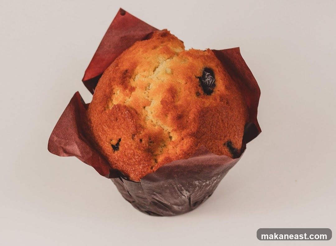 Blueberry Muffin
