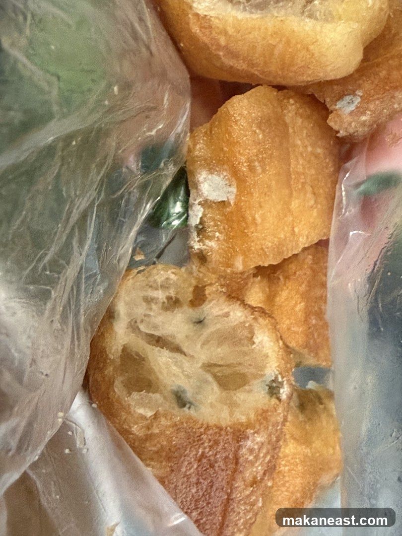 Moldy Bread