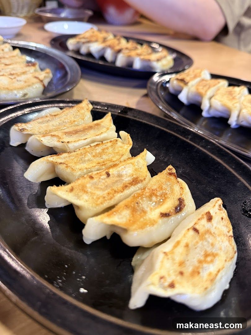Pan-fried dumplings