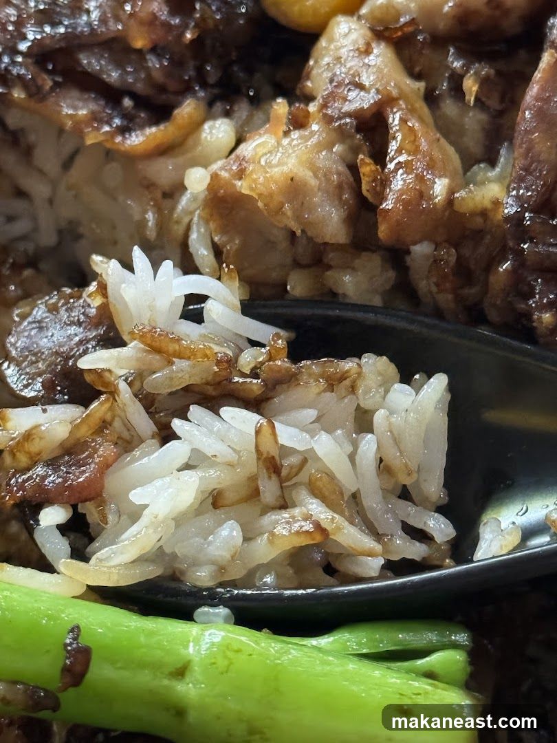 Close-up of Rice and Meat Dish