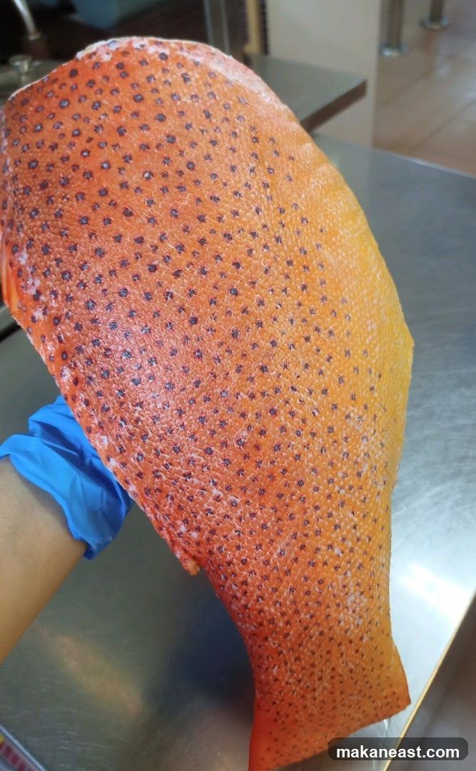 Fish Skin