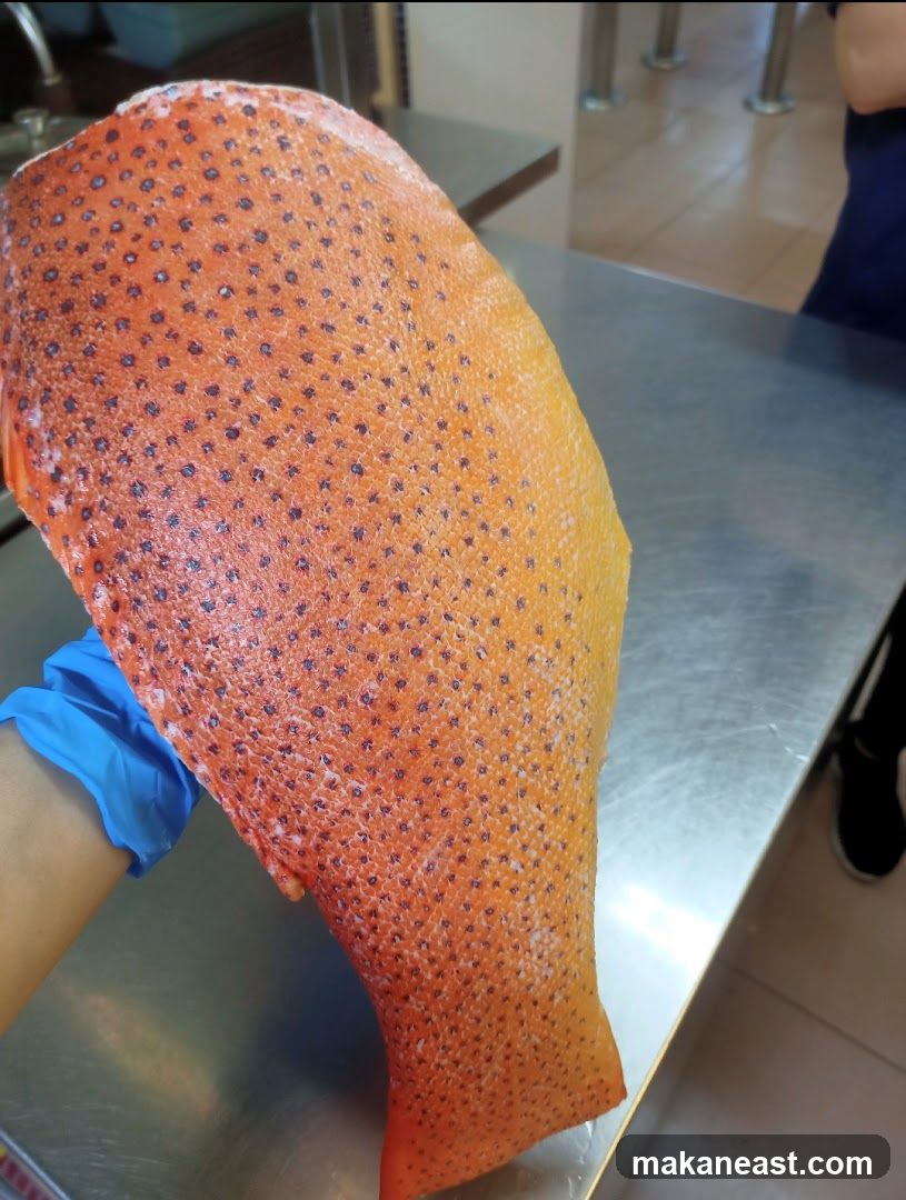 Fish Fillet