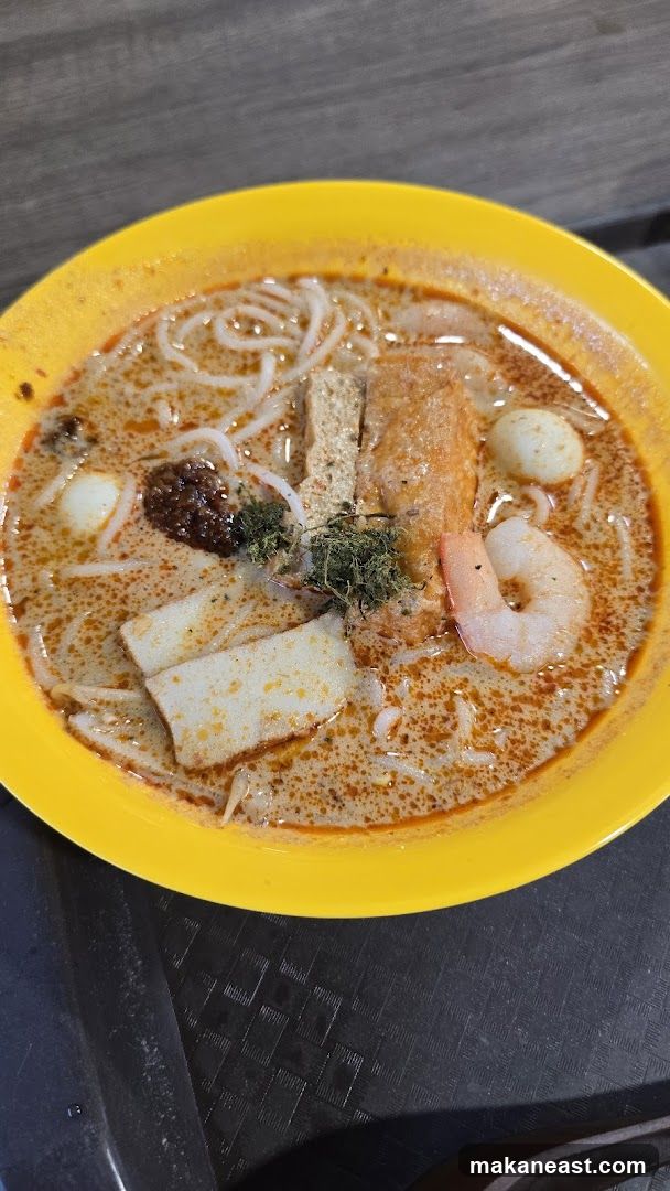 Laksa Noodle Soup
