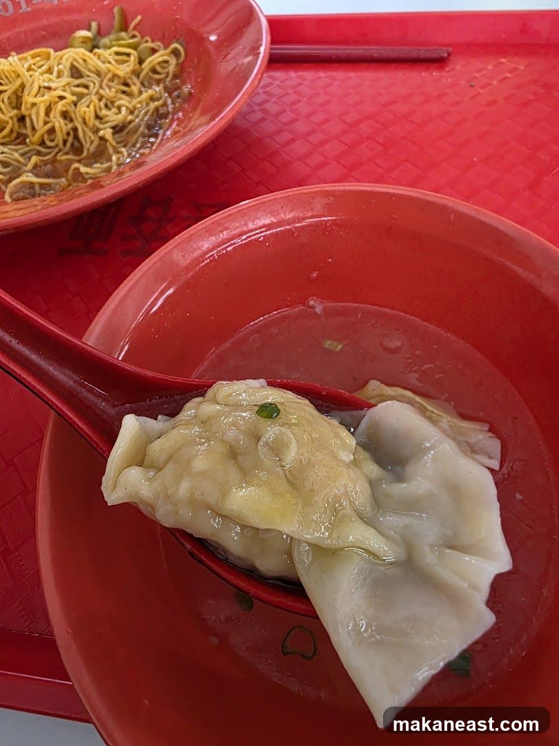 Wanton Noodles