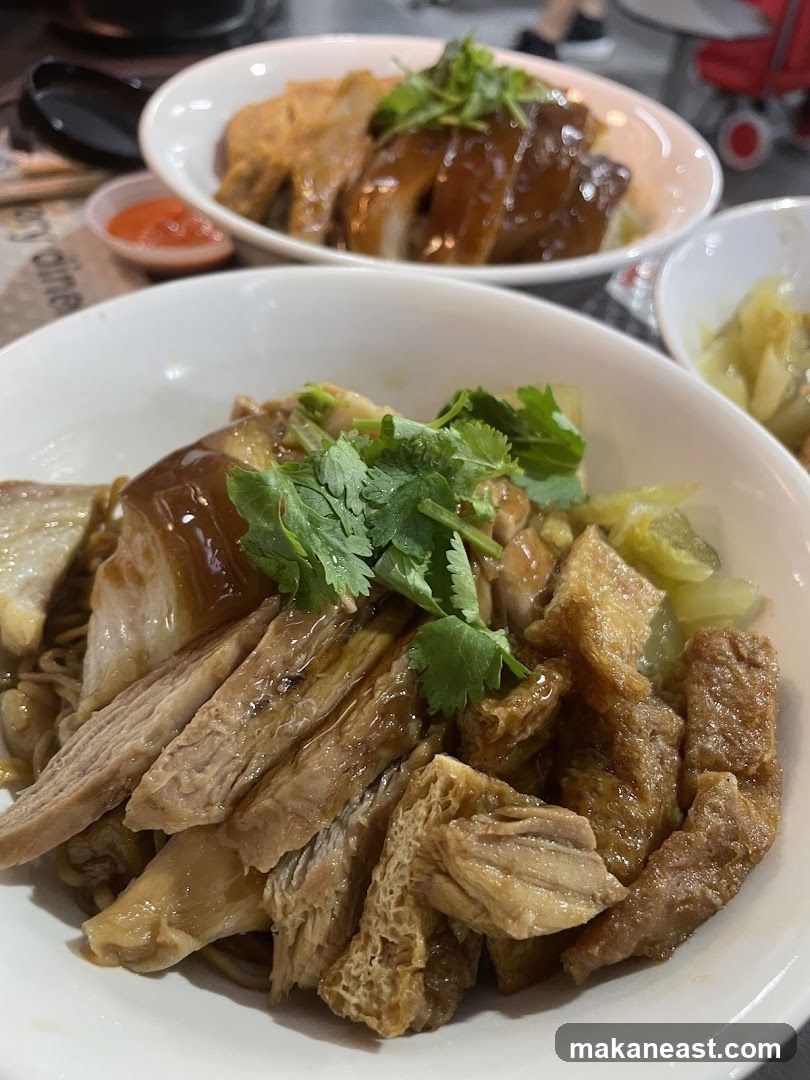 Braised Duck Noodles