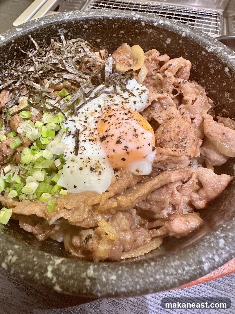 Beef and Egg Rice Bowl