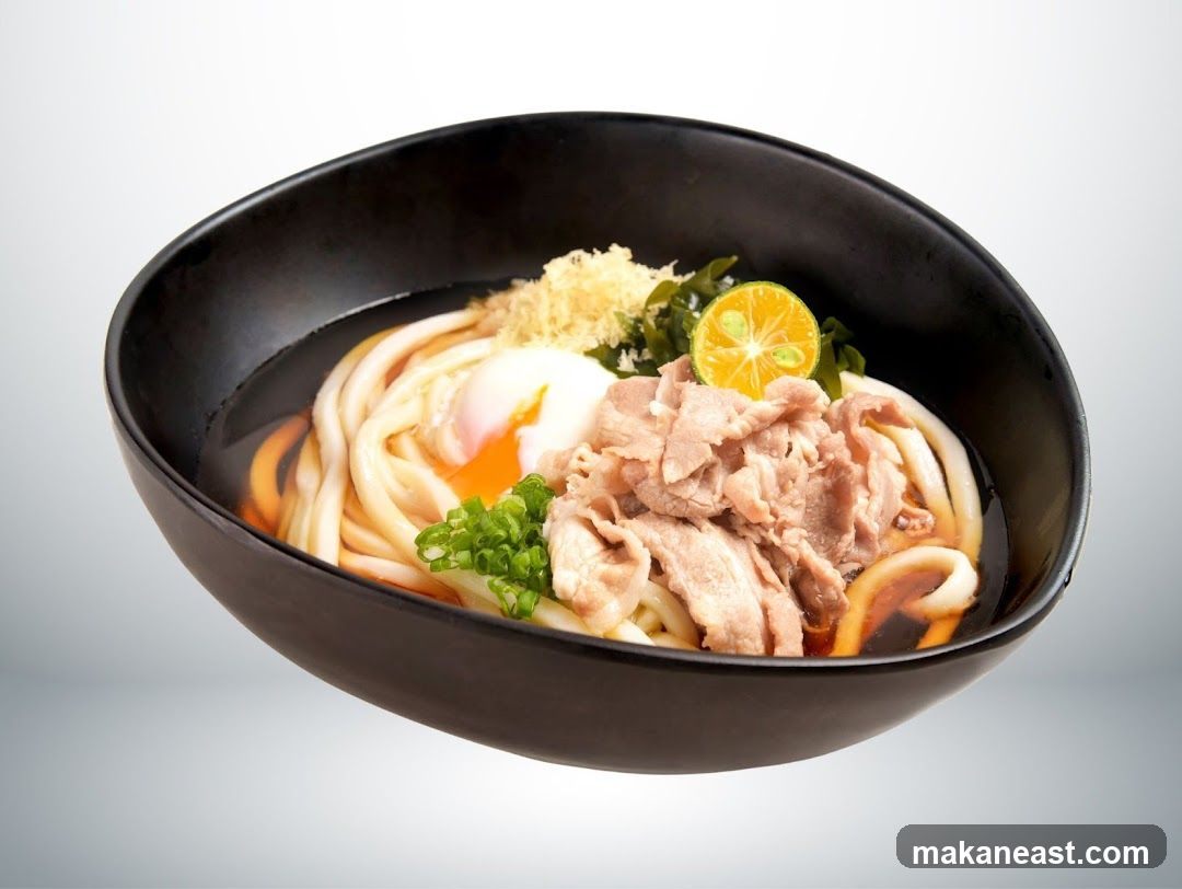 Udon Noodle Soup